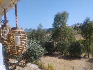 The Hillside Lodge