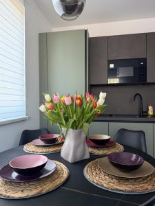 Apartment Quido v Českom Krumlove s parkovaním