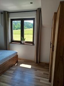 Biała Ostoja 517-539-965