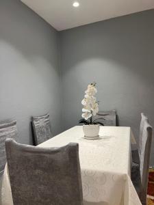 Sunlight Apartment&Room