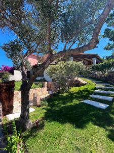 Villetta Tavolara Relax con giardino vicino al mare