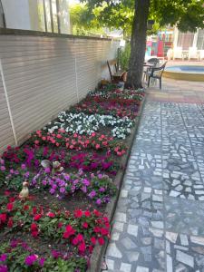 Peshev Family Hotel Nesebar