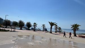 Del mar apartment, two bedrooms, beachfront
