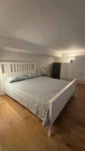 JacksApartment 100mAcquario - PellicceriaSuperior