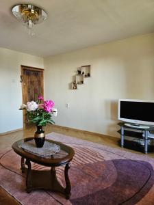 Jaukūs apartamentai Miško kvartale