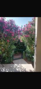 Whole house Ariela, 20m to the beach, has a barbecue, 2 terraces