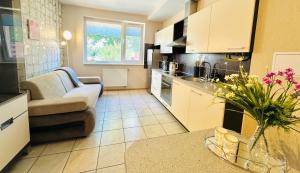 Central Terrace Apartment