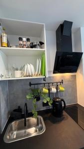 Nordic Nest Apartment