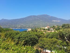Studio Dolce & Vita D3 vue mer et piscine