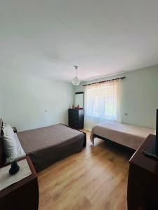 Mollys apartment 1