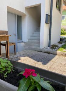 Apartma BONUS
