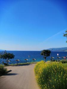 Altalea Apartman