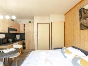 Studio charmant avec vue Mont-Blanc, Wifi et animaux acceptés - FR-1-343-221