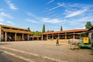 Fattoria Agriturismo Bigongiari