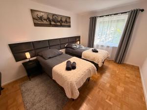 Lion Apartments Wolfenbüttel Zentrum