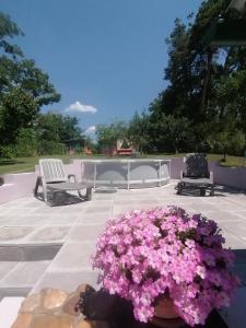 Apartman LAVANDA