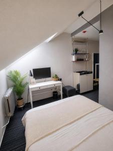 Modern attick in the heart of Vilnius