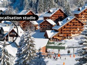 Studio 4 pers. pieds des pistes - Animaux admis - FR-1-393-188