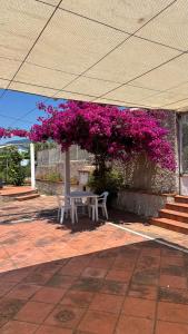 Casa Vacanza Demetra