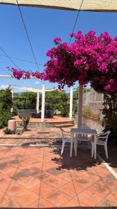 Casa Vacanza Demetra