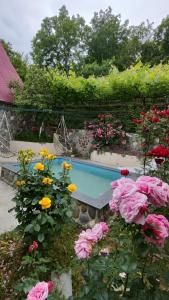 Friendly Cottage with small Pool