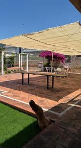 Casa Vacanza Demetra