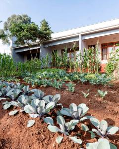Marera Eco Lodge