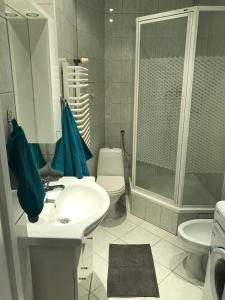 Gliwice City Center Beautiful and spacious apt