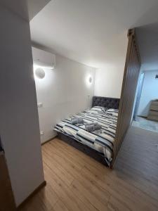 Cerak Studio 1