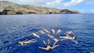Spica