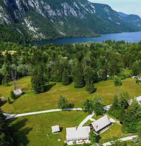 Bohinj Star Apartments - Ivanka