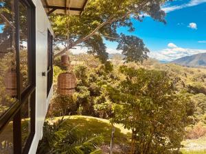 Raices Hostel
