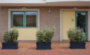 Palazzo house