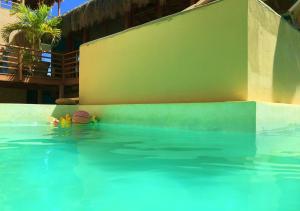 Casa Flamenco Beachfront Villa with Private Pool