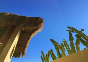 Casa Flamenco Beachfront Villa with Private Pool