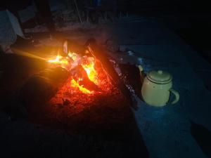 Safari Table Camp Site