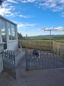 Skellig View Harbour View Sunrise Apartment