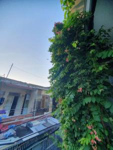 Sami Homestay