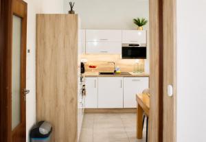Aurion Spacious 2BR Apartment near Prague Castle - Parking - Up to 8 Guests