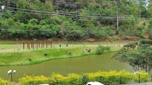 Wonderful Apartment in Itaipava