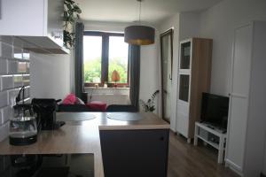 Apartament z widokiem na Wisłę