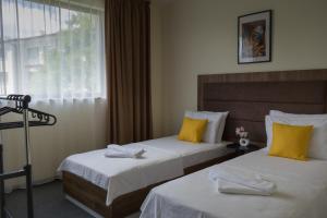 Blue Horizon Family Suite - Top Floor Sea View
