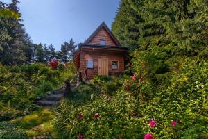Domek Oaza Tatry III