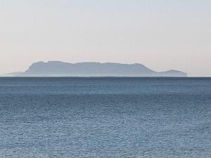 Il ginepro img27