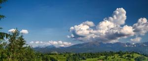 Domek Oaza Tatry III