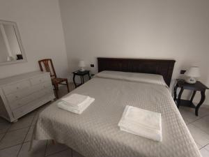 Il ginepro img12