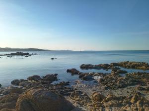 Il ginepro img33