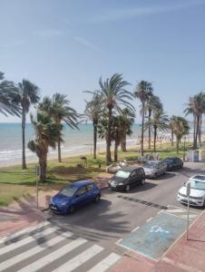 EL CANO MagicWorld MarinaDor
