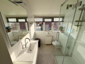 Bungalow in Breskens near Beach and Dunes