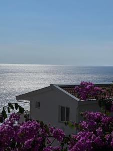 Sea Bliss Lux